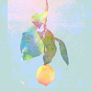 欧美人与拘一级A片
