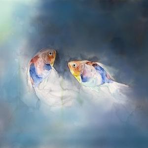 欧美人与拘一级A片
