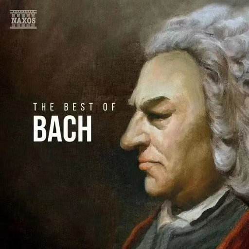 欧美人与拘一级A片
